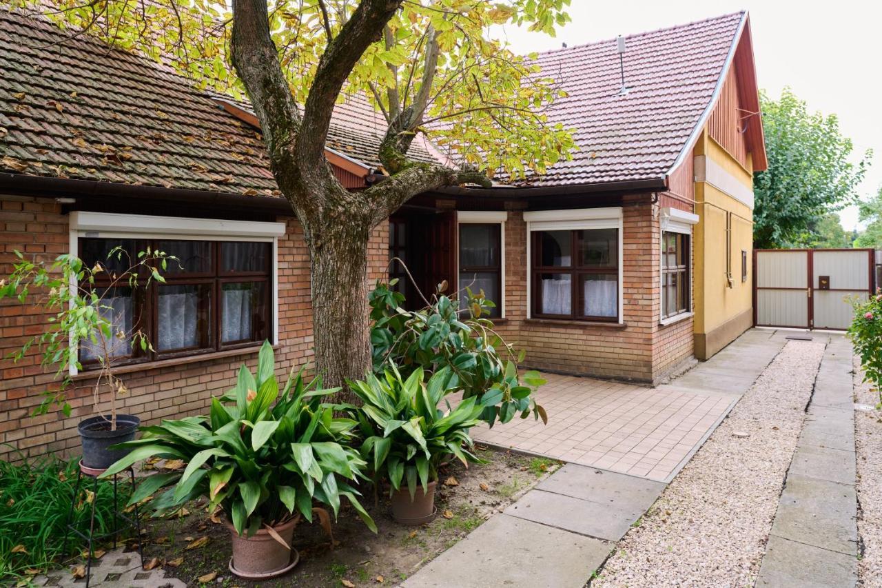 Koelcsey Vendeghaz Apartment Hodmezovasarhely Exterior photo